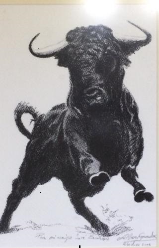 TORO